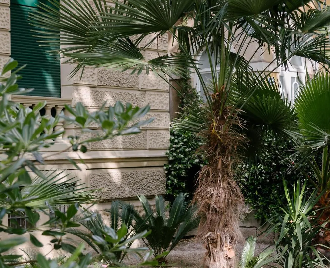 Peacock Apartments Split